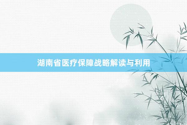 湖南省医疗保障战略解读与利用