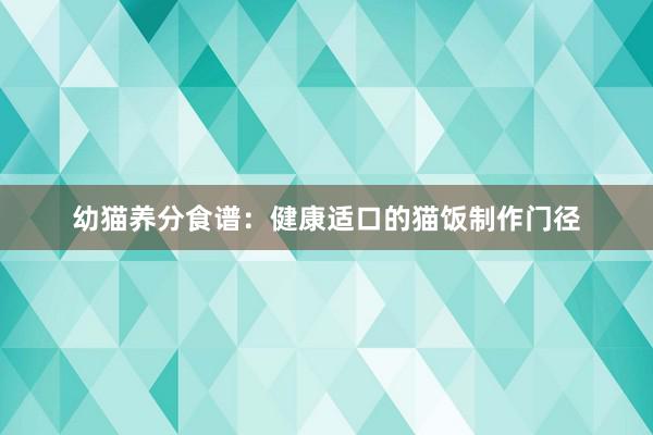 幼猫养分食谱：健康适口的猫饭制作门径